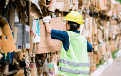 Eco-métier : Le Métier d&rsquo;Opérateur de Tri : Un Acteur Clé de la Gestion des Déchets
